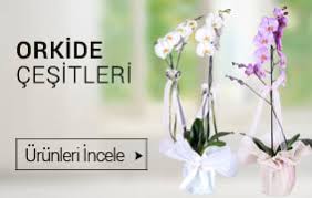 İzmir Çiğli çiçekçiler butik çiçekler